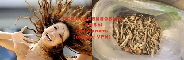 спиды Арсеньев