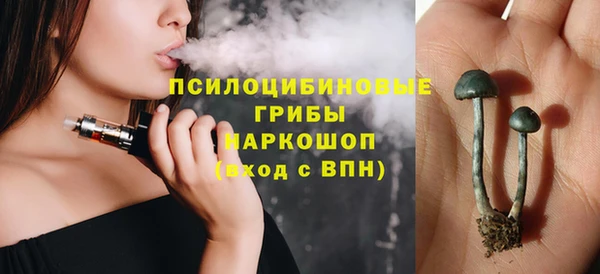 спиды Арсеньев