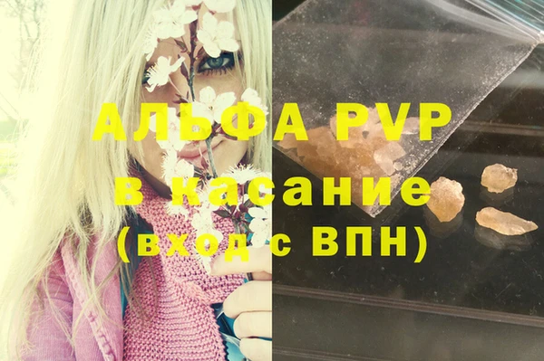 спиды Аркадак
