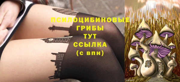 спиды Аркадак