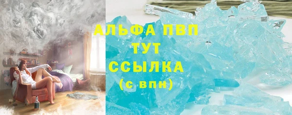 спиды Аркадак